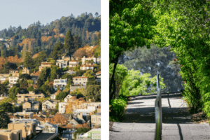 Berkeley Hills Path