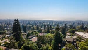 1151 Spruce Drone 01