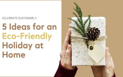 Celebrate Sustainably: 5 Ideas for an Eco-Friendly Holiday at Home