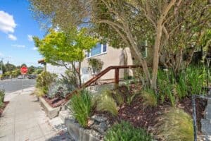 355 Arlington Ave Berkeley Photo 2