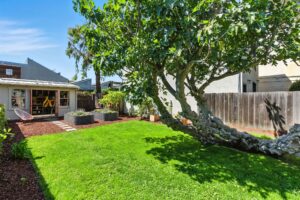 1814 Sixth St. Berkeley Photo 32