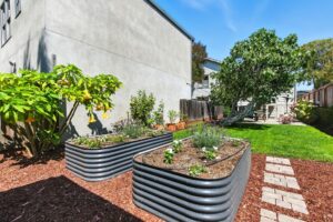 1814 Sixth St. Berkeley Photo 36